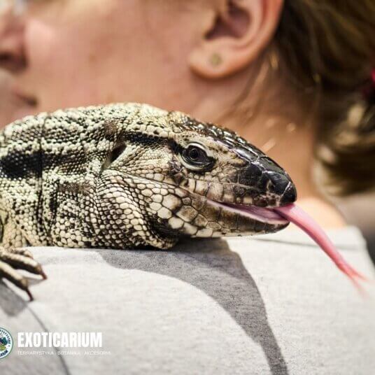 Exoticarium – Targi Terrarystyczne Szczecin