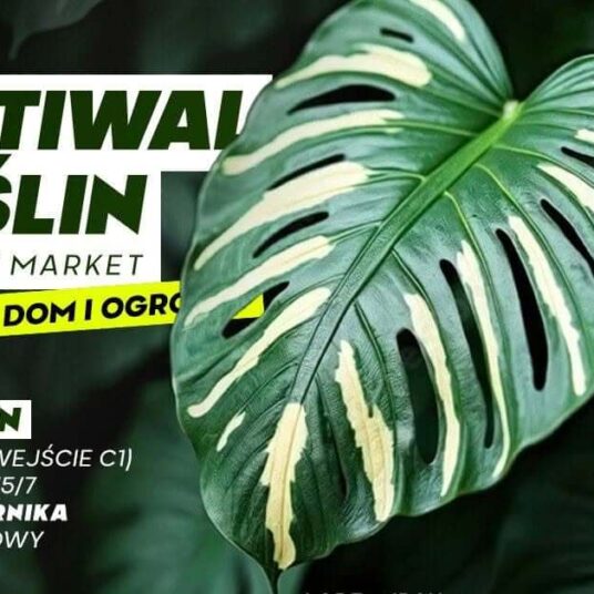 Festiwal Roślin